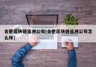 合肥区块链追溯公司[合肥区块链追溯公司怎么样]