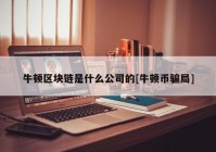 牛顿区块链是什么公司的[牛顿币骗局]