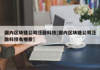 国内区块链公司泛融科技[国内区块链公司泛融科技有哪些]